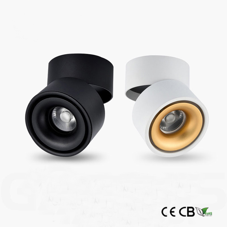 Adjustable Surface Mounted Led Downlight