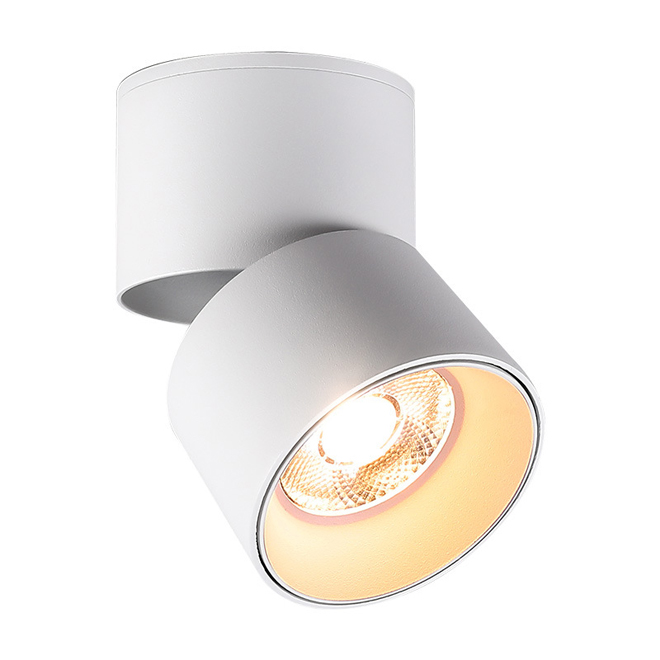 surface mounted led downlight-1